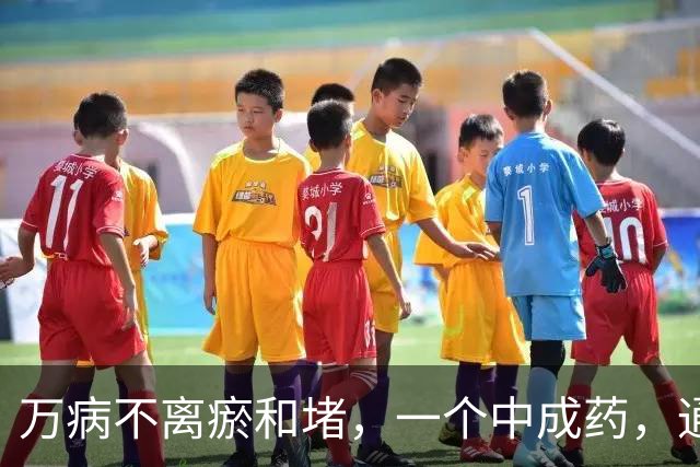 万病不离瘀和堵，一个中成药，通心、通脑、通一身气机，身体越来越好