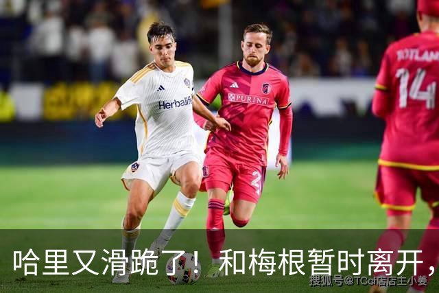 哈里又滑跪了！和梅根暂时离开，不想抢父亲和哥哥的风头