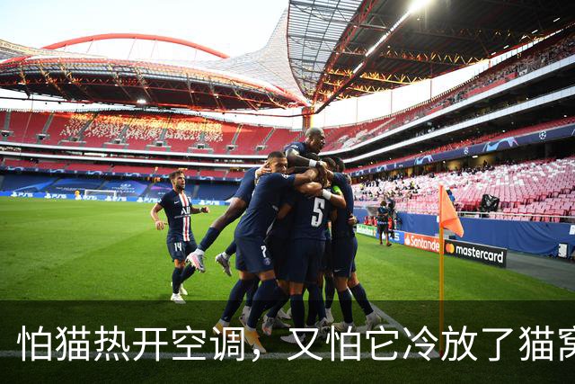 怕猫热开空调，又怕它冷放了猫窝，结果一看监控，绝了！